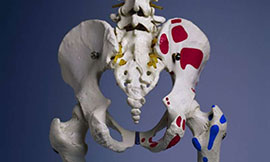 Multiple risk factors, BMD associated with hip fracture in older men